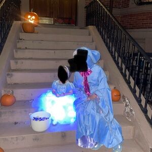 Adult Disney Fairy Godmother Costume
